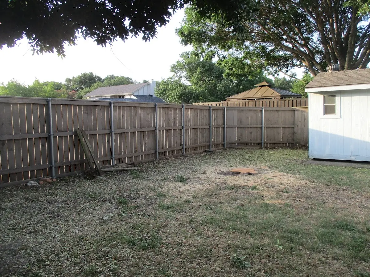 Cleared yard after professional tree removal in Mystic